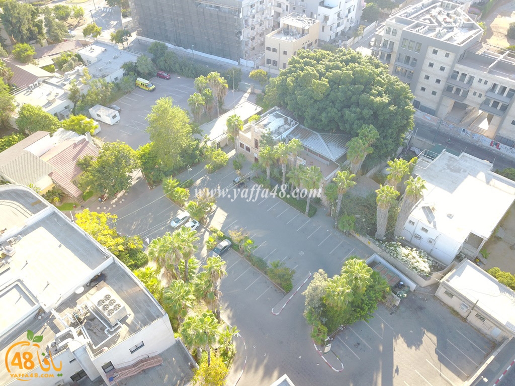 jamal basha tsterre (28).JPG